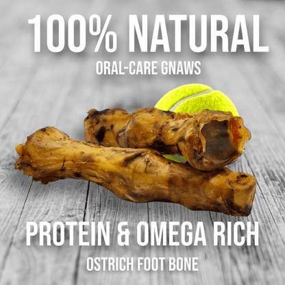 Ostrich Foot Bone (7" x 3.5"): The Flavorful & Long-Lasting Chew for Medium to Large Dogs - Doot's Pet LLC Collars For A Cause
