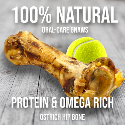 Ostrich Hip Bone (12" x 5"x 3”): The Durable, Flavor-Packed Chew for Medium & Large Dogs - Doot's Pet LLC Collars For A Cause