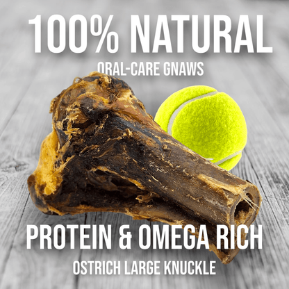 Large Ostrich Knuckle (5.5" x 5"): The Ultimate Chew for Moderate & Power Chewers - Doot's Pet LLC Collars For A Cause