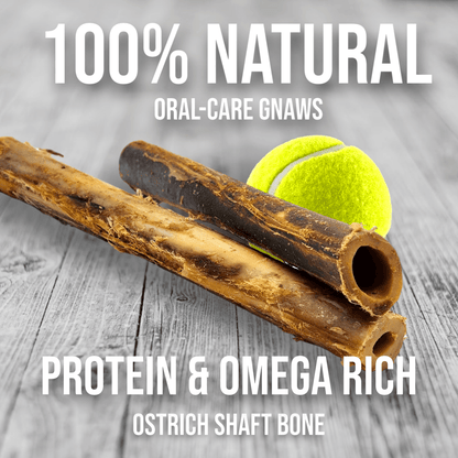 Ostrich Shaft Bones (11" x 2"): The Long-Lasting, Flavorful Chew for Medium to Large Dogs - Doot's Pet LLC Collars For A Cause