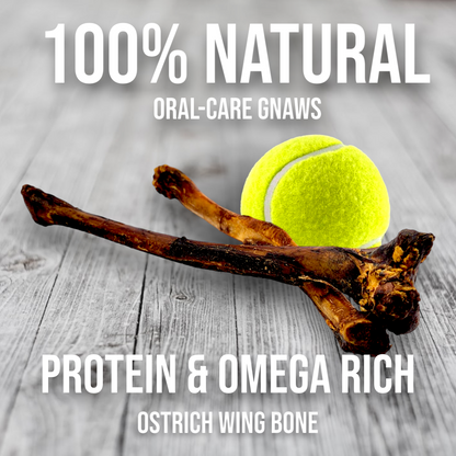 Ostrich Wing Bone (13" x 1.5"): The Ultimate Long-Lasting Chew for Small Dogs & Light Chewers - Doot's Pet LLC Collars For A Cause