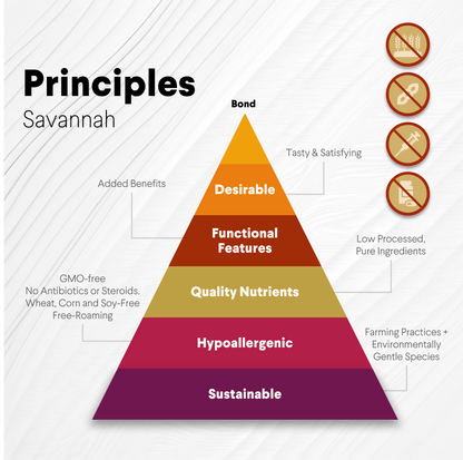 Ostrich Shaft Bones (11" x 2"): The Long-Lasting, Flavorful Chew for Medium to Large Dogs - Doot's Pet LLC Collars For A Cause