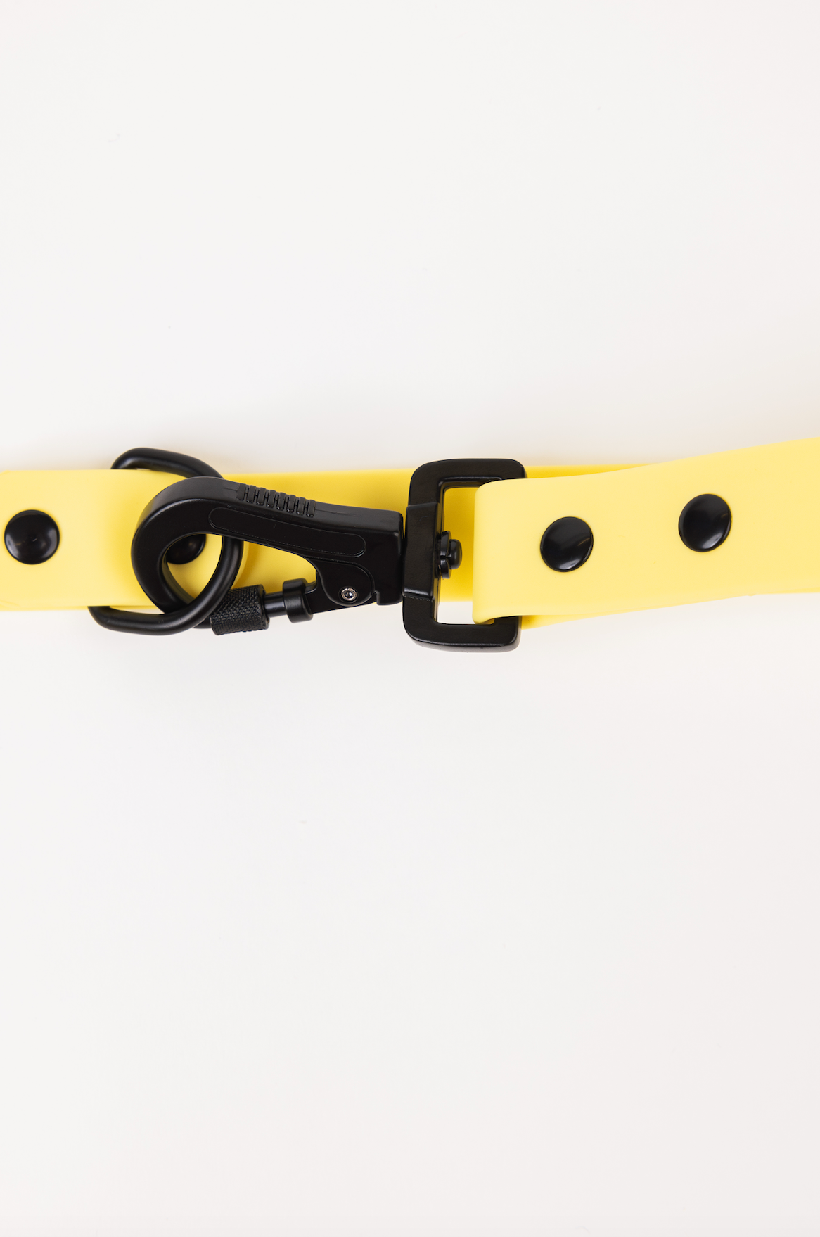 The Modern Dog Company - Daffodil Yellow Adjustable Leash - Doot's Pet LLC Collars For A Cause