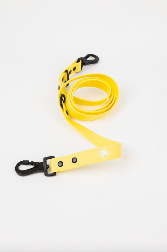 The Modern Dog Company - Daffodil Yellow Adjustable Leash - Doot's Pet LLC Collars For A Cause