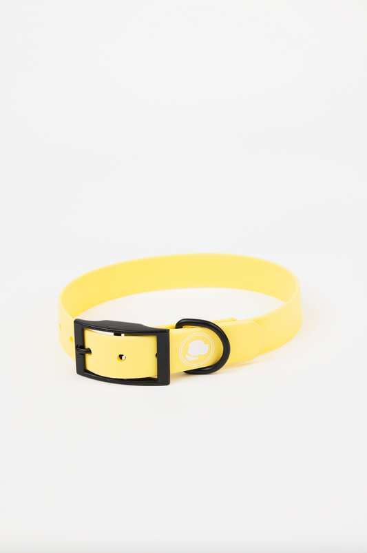 The Modern Dog Company - Daffodil Yellow Collar (Weather + Odor Resistant) - Doot's Pet LLC Collars For A Cause