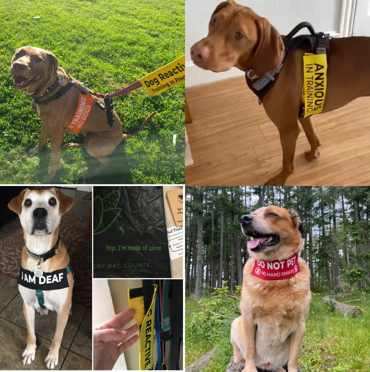 F*ck Off - I Need Space Leash Sleeve