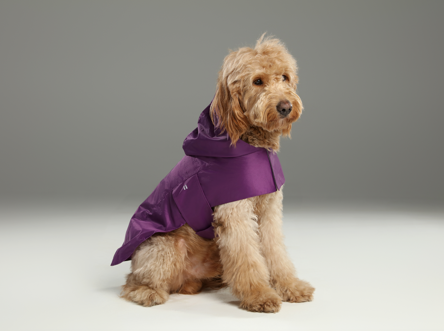Capsule Raincoat - Purple
