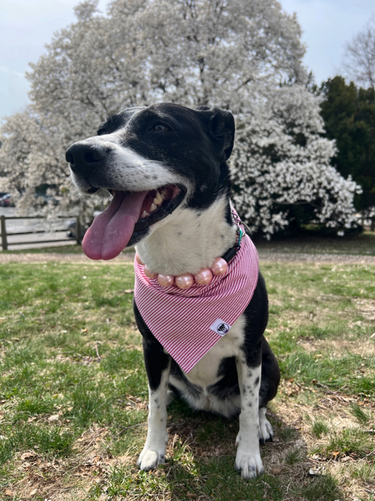 Red Seersucker Bandana