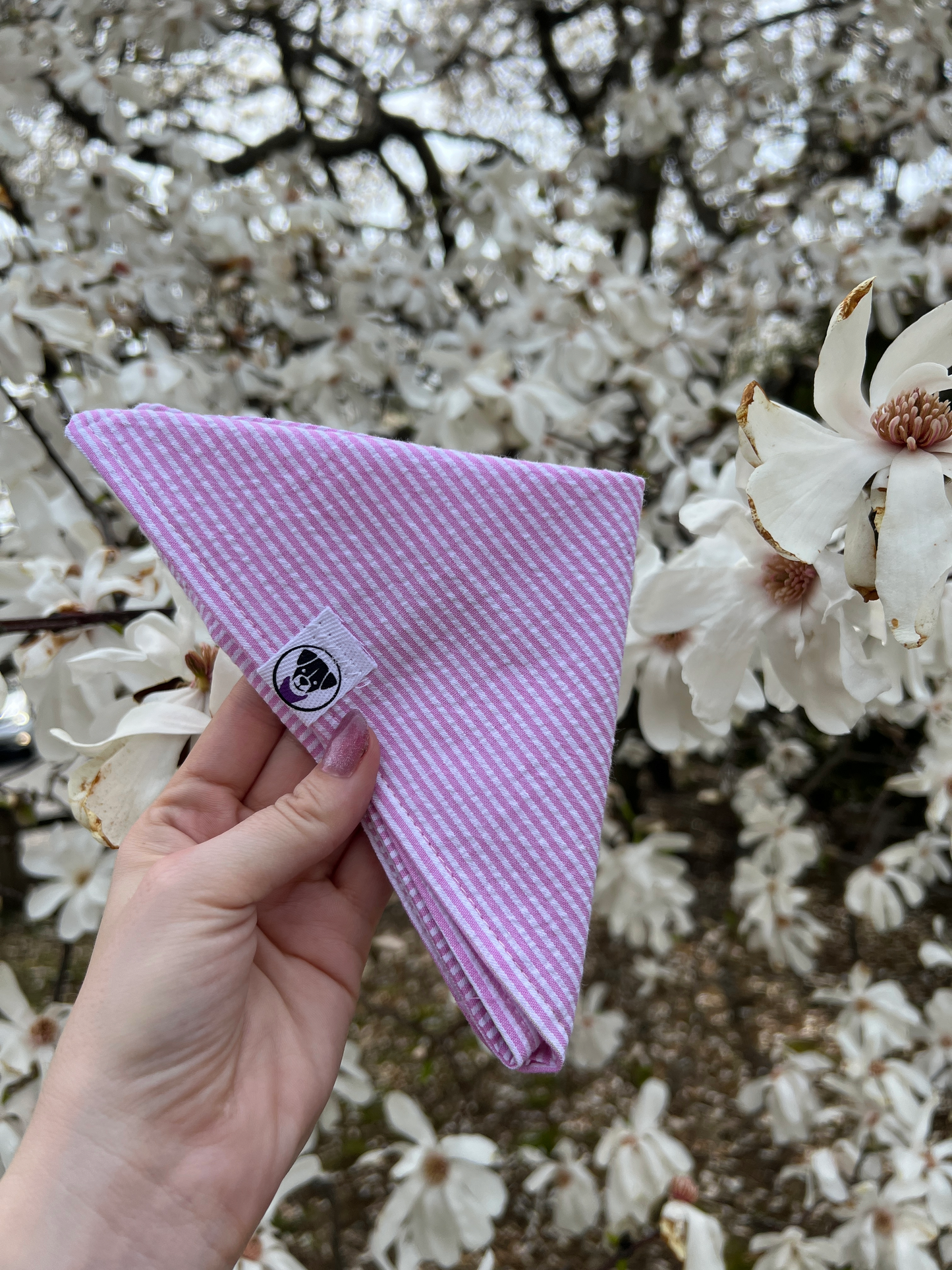 Pink Seersucker Bandana
