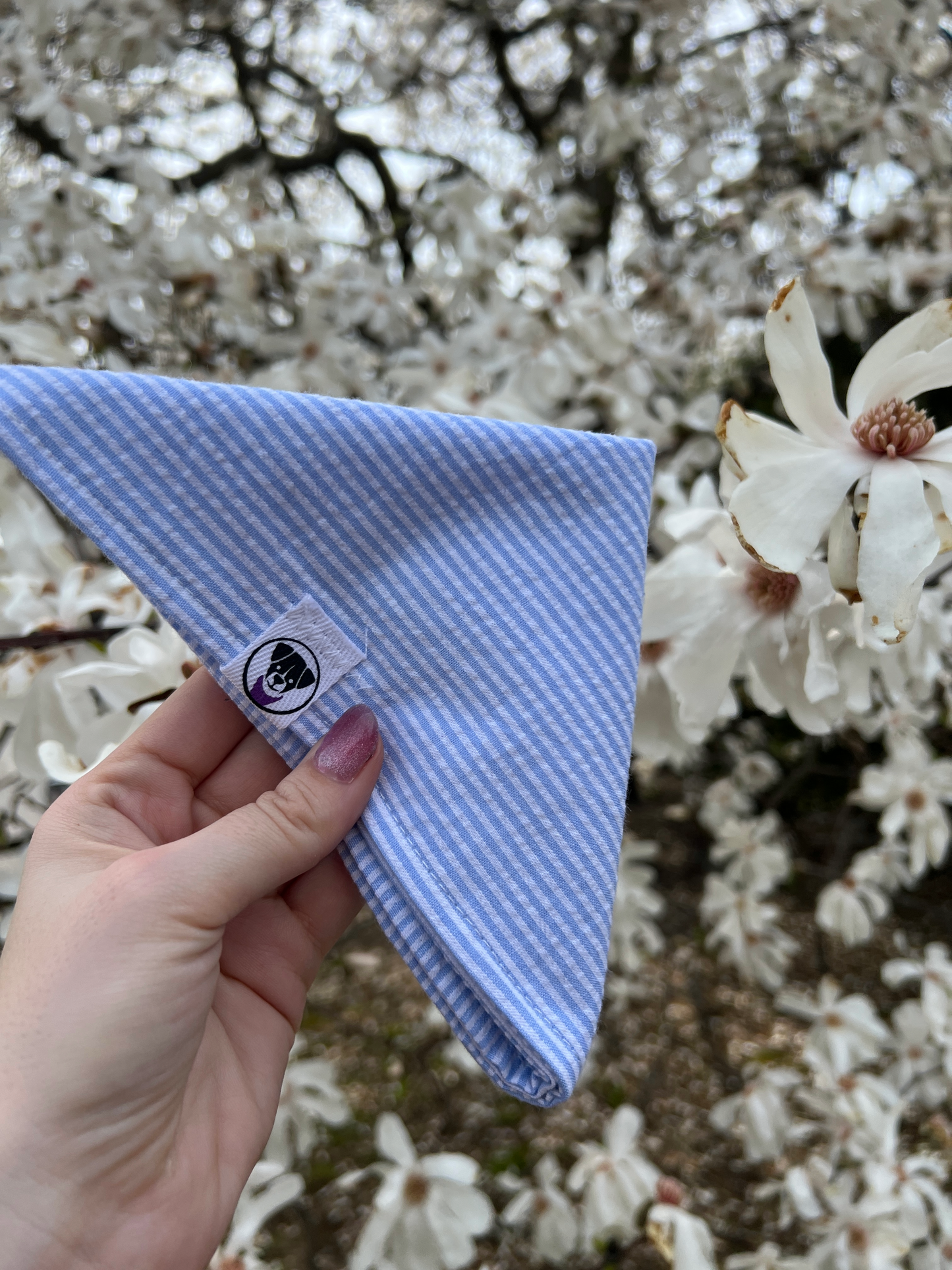 Blue Seersucker Bandana