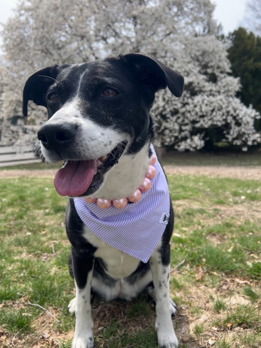 Lilac Seersucker Bandana
