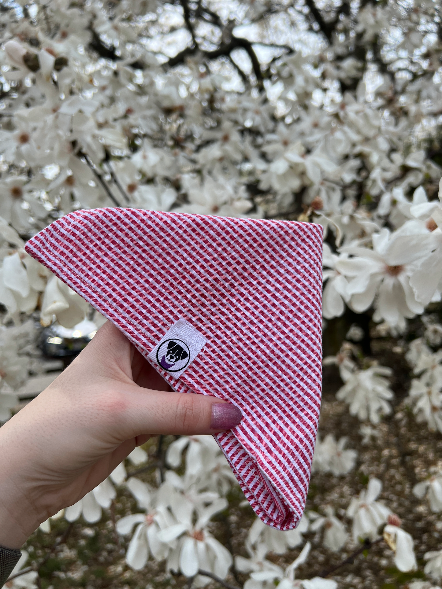 Red Seersucker Bandana