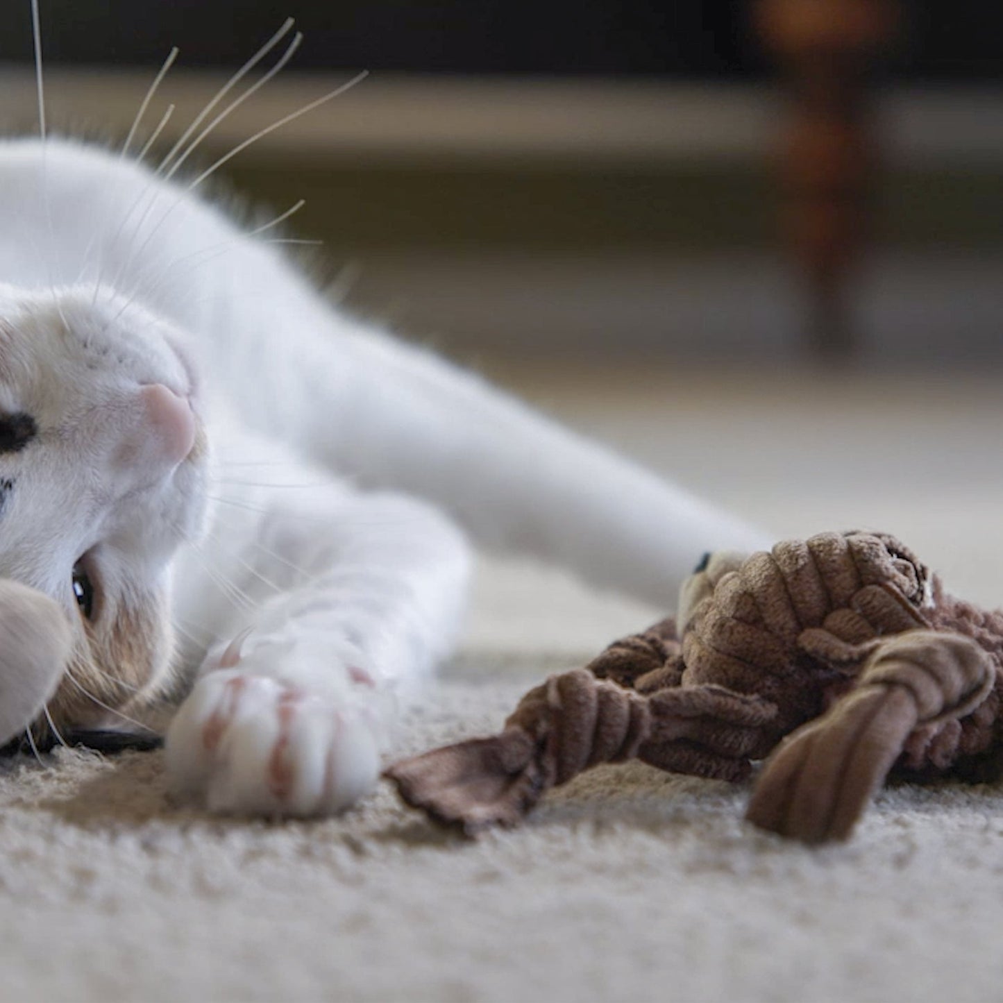 HuggleKats® Wee Chippie and His Acorn Cat Toy Set
