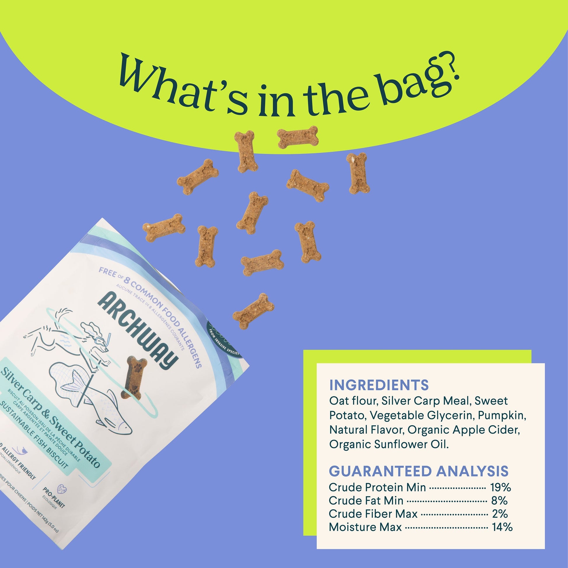 Silver Carp and Sweet Potato - Doot's Pet LLC Collars For A Cause