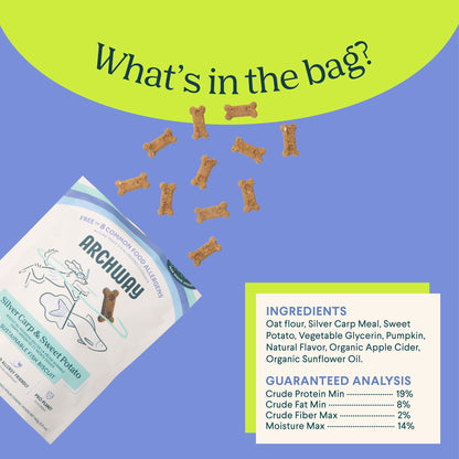 Silver Carp and Sweet Potato - Doot's Pet LLC Collars For A Cause