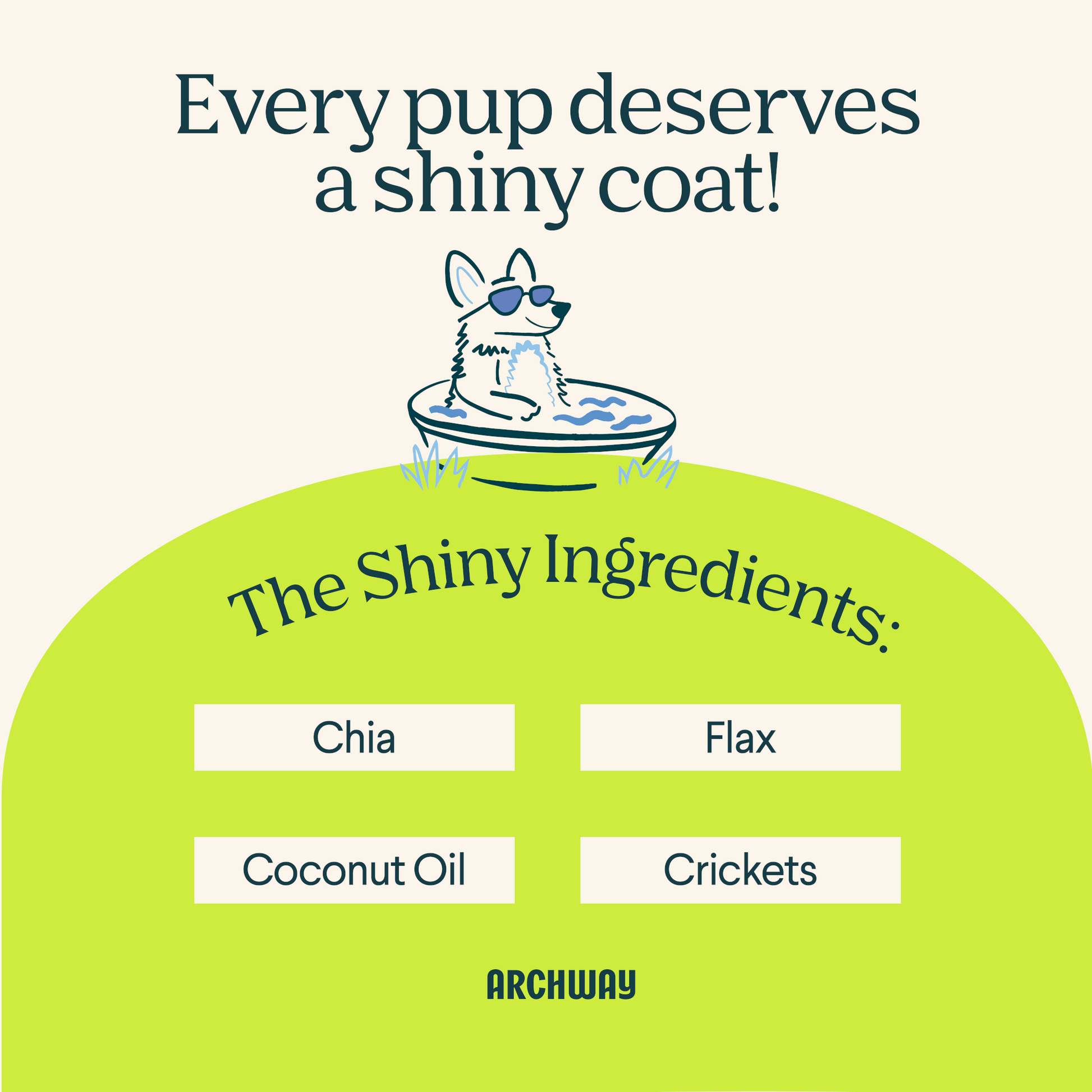 Skin & Coat Health - Doot's Pet LLC Collars For A Cause