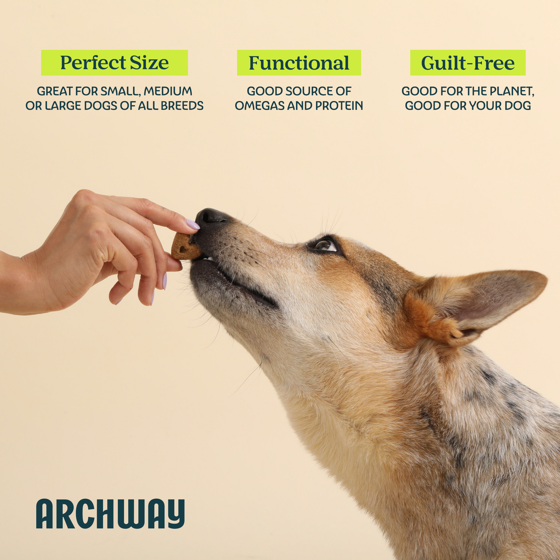 Skin & Coat Health - Doot's Pet LLC Collars For A Cause