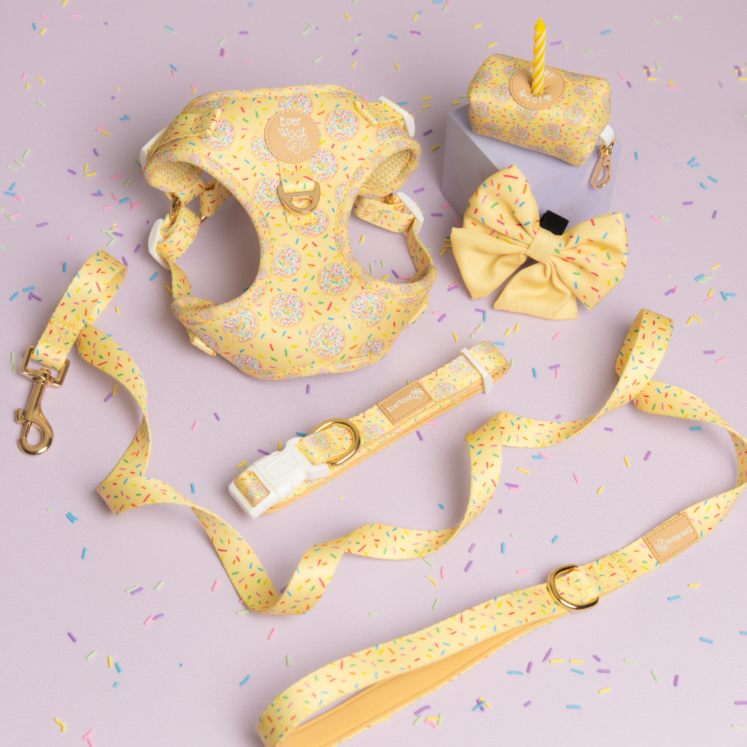 Ever So Sweet Step-in Harness