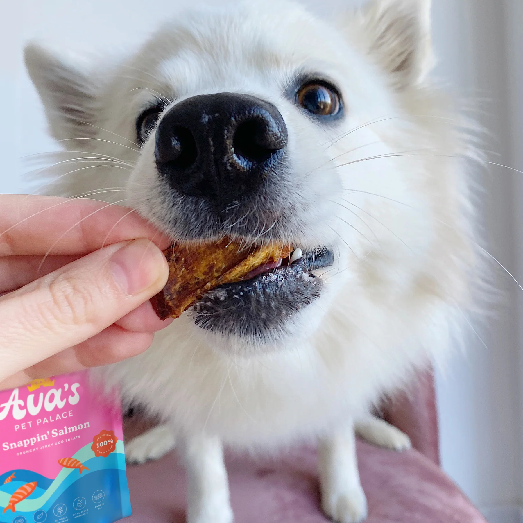 Ava's Pet Palace Crunchy Jerky Dog Treats - Snappin' Salmon Treats (4 oz) - Doot's Pet LLC Collars For A Cause