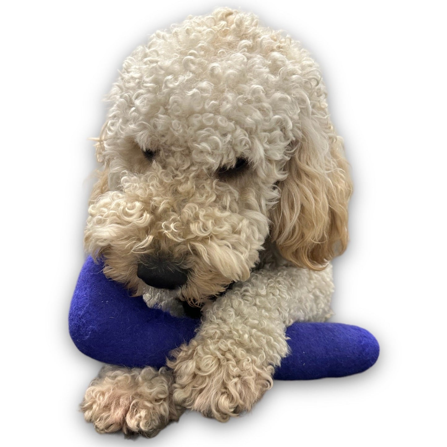 Tube Felt Dog Toy - Doot's Pet LLC Collars For A Cause