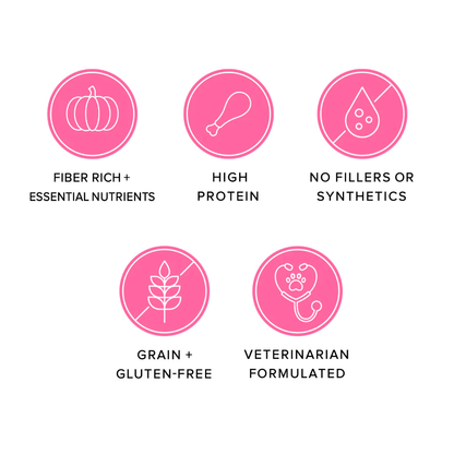 Ava's Pet Palace Freeze Dried Dog Treats - Turkey Poppers (3oz) - Doot's Pet LLC Collars For A Cause