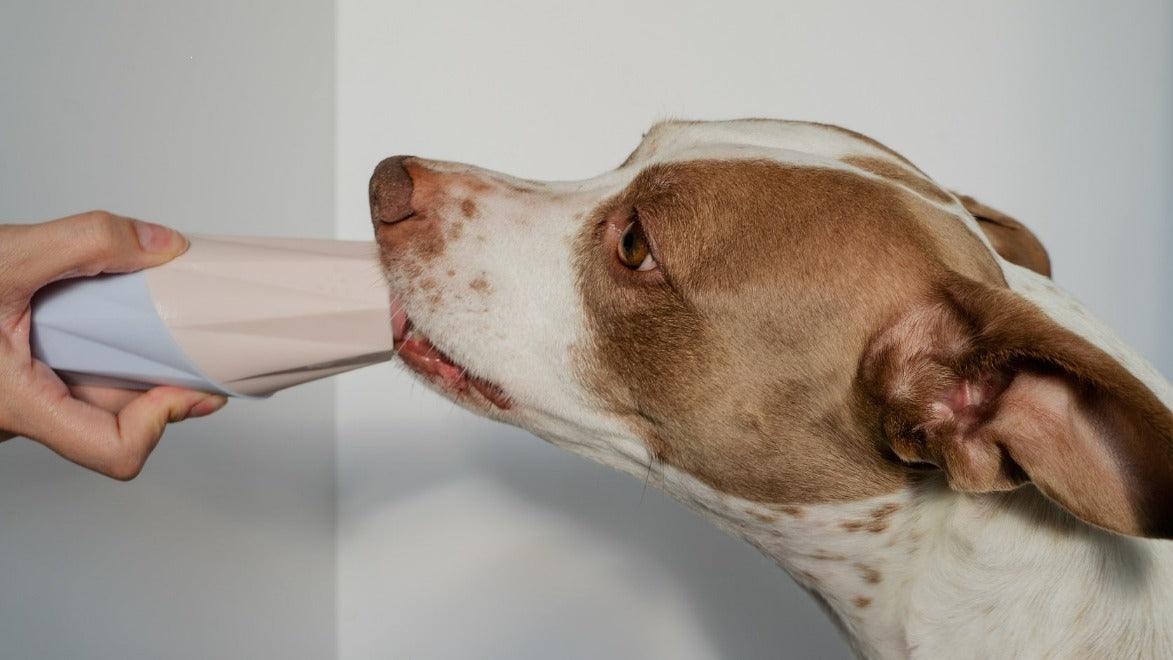 The Ubbe Modern Dog Licking Toy - Doot's Pet LLC Collars For A Cause