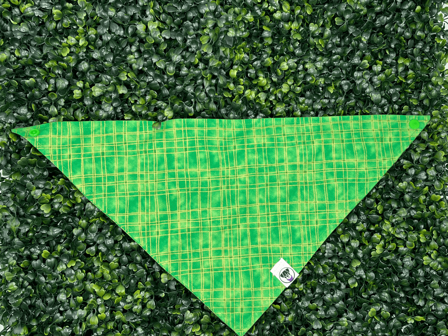 Green & Gold Plaid Bandana