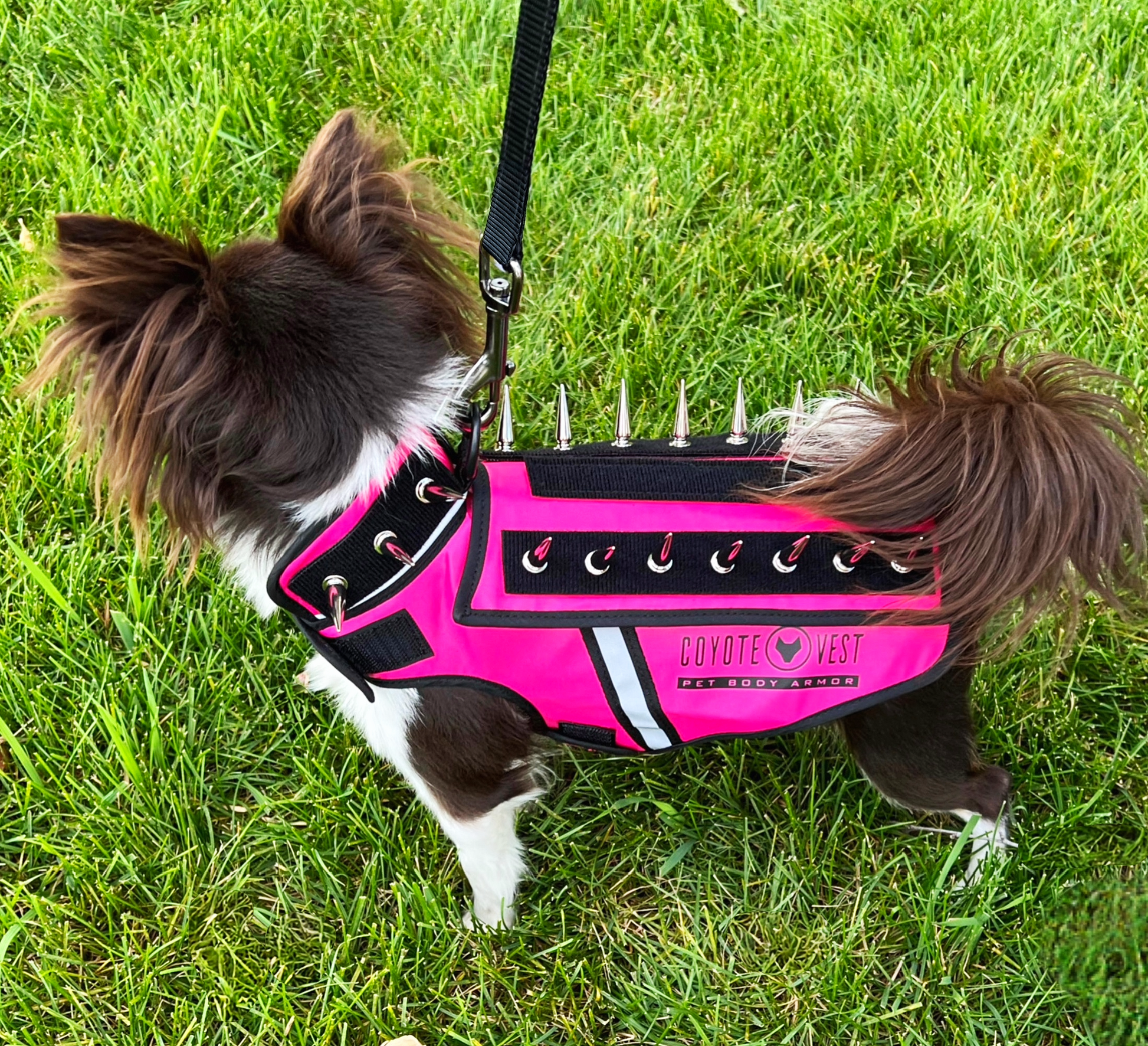 HawkVest - Doot's Pet LLC Collars For A Cause