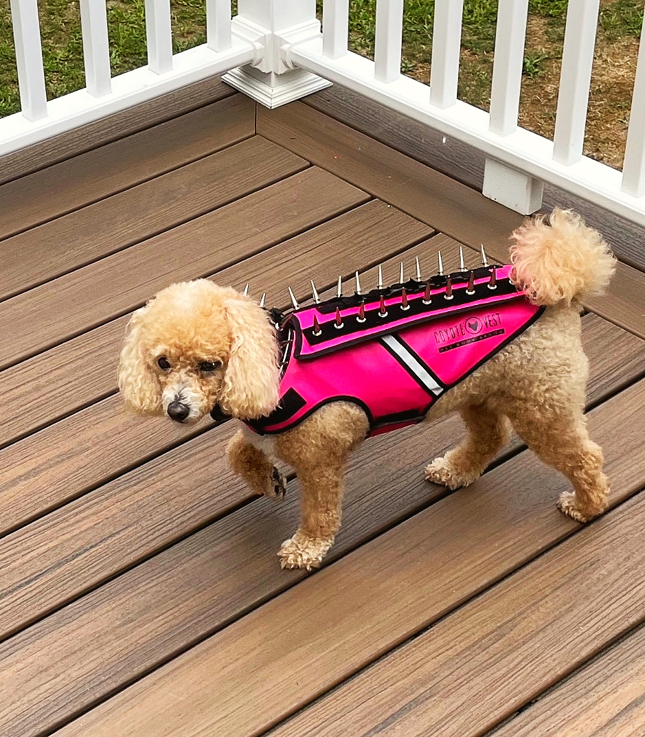 HawkVest - Doot's Pet LLC Collars For A Cause