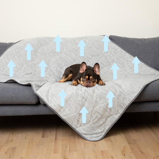 PupChill™ Cooling Waterproof Blanket - Arctic Grey - Doot's Pet LLC Collars For A Cause