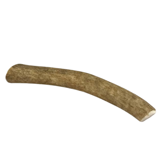 Medium Whole Elk Antler Dog Chew - Doot's Pet LLC Collars For A Cause