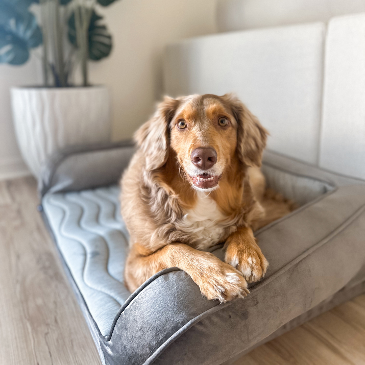 PupChill™ Cooling Bolster Dog Bed - Doot's Pet LLC Collars For A Cause