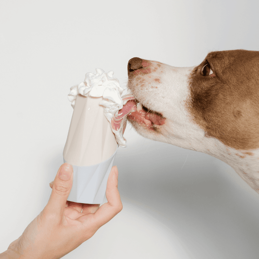 The Ubbe Modern Dog Licking Toy - Doot's Pet LLC Collars For A Cause