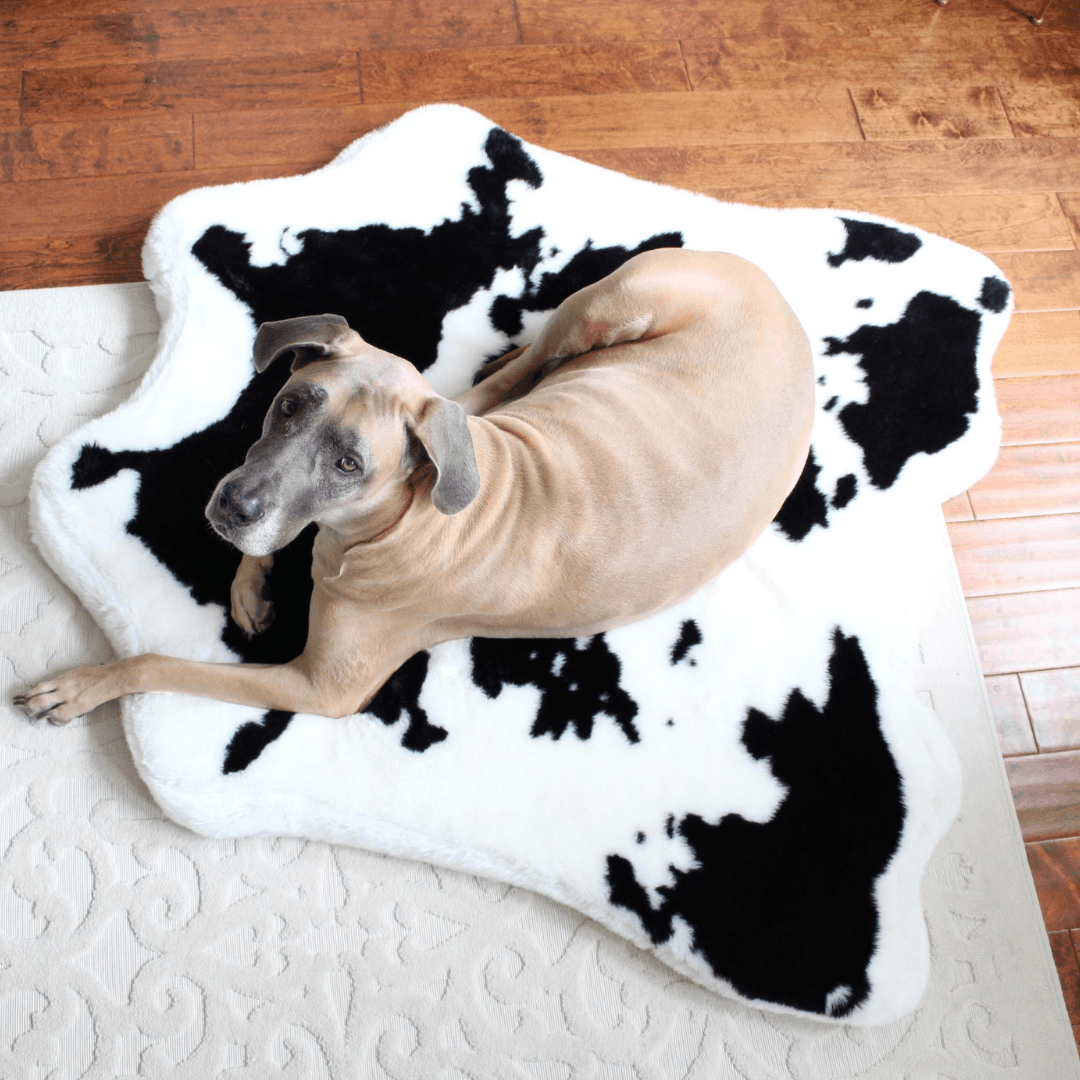 PupRug® Animal Print Memory Foam Dog Bed - Black Faux Cowhide