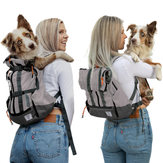 Urban 3 | Dual Use Dog Carrier & Traditional Backpack