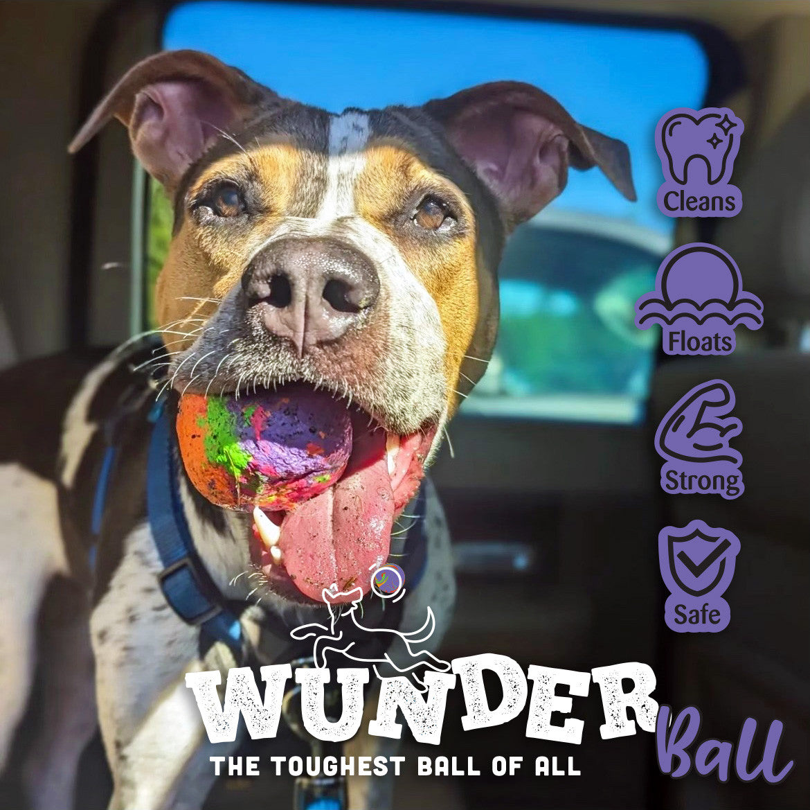 WUNDERBALL - Best Fetch Toy - Doot's Pet LLC Collars For A Cause