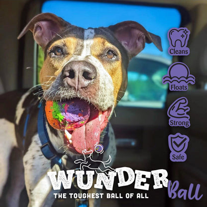 WUNDERBALL - Best Fetch Toy - Doot's Pet LLC Collars For A Cause