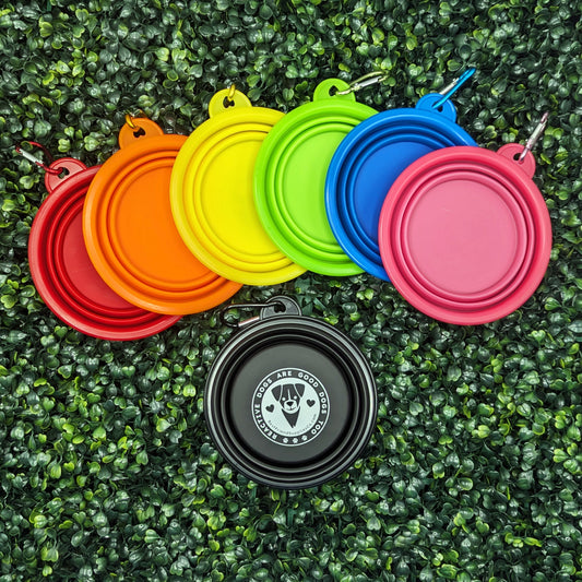 Collapsible Water Bowl