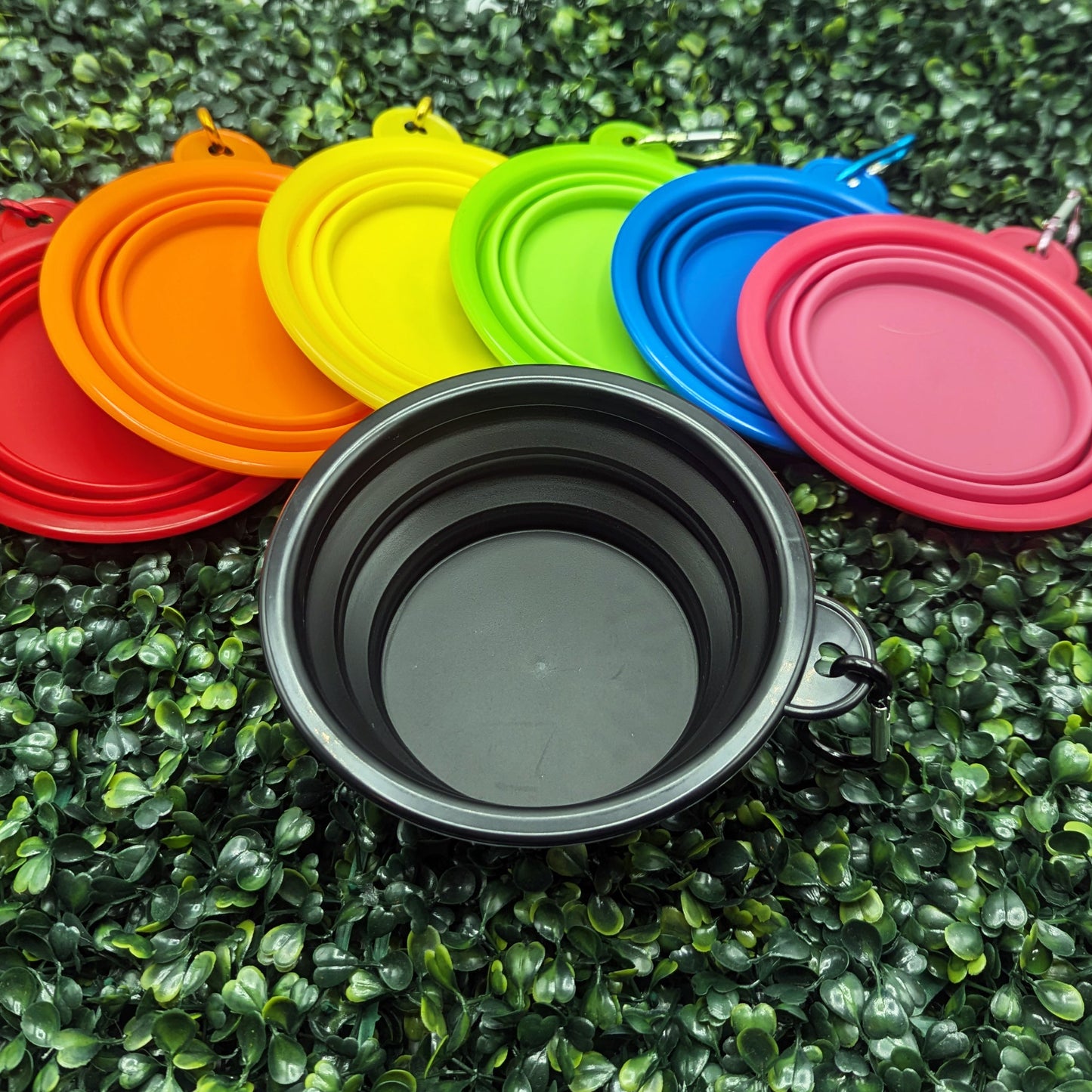 Collapsible Water Bowl