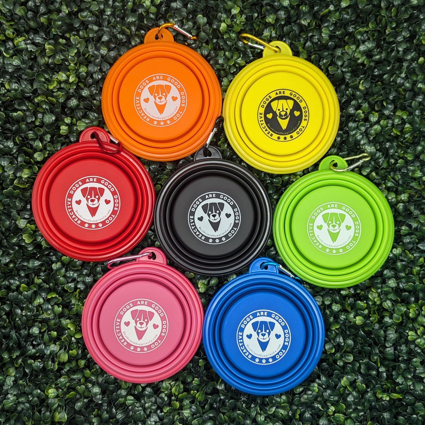 Collapsible Water Bowl