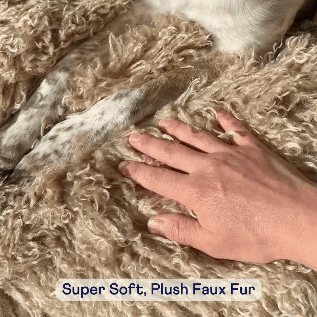 PupRug® Luxe Faux Fur Orthopedic Dog Bed -  Plush Sheep Tan - Doot's Pet LLC Collars For A Cause