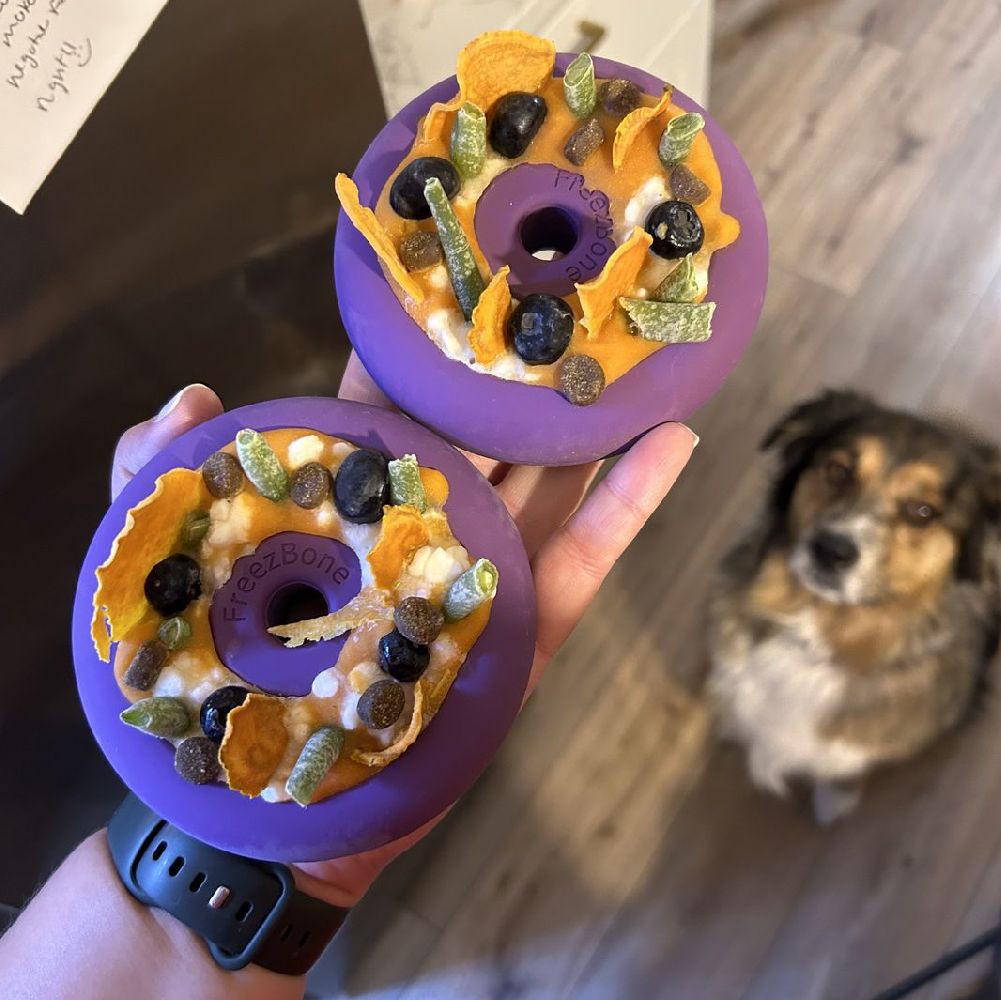 Freez Doughnut - Super Durable Treat Toy - Doot's Pet LLC Collars For A Cause