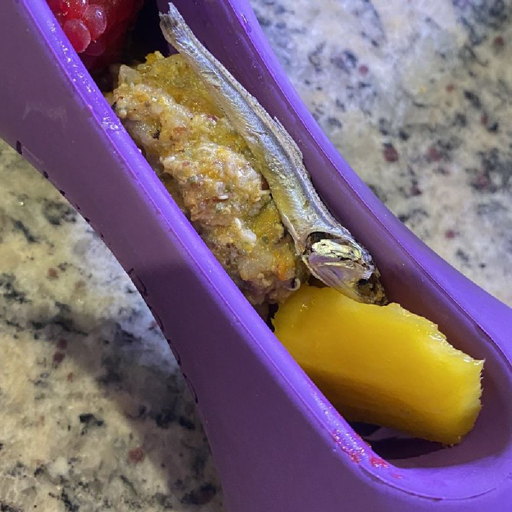 Freezstick - Indestructible Enrichment Chew - Doot's Pet LLC Collars For A Cause