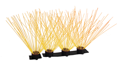 CoyoteWhiskers - Doot's Pet LLC Collars For A Cause