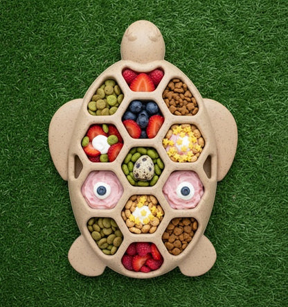 Turtle Nylon Chew Toy - Ultra-Durable Enrichment Toy for Power Chewers USA - Doot's Pet LLC Collars For A Cause