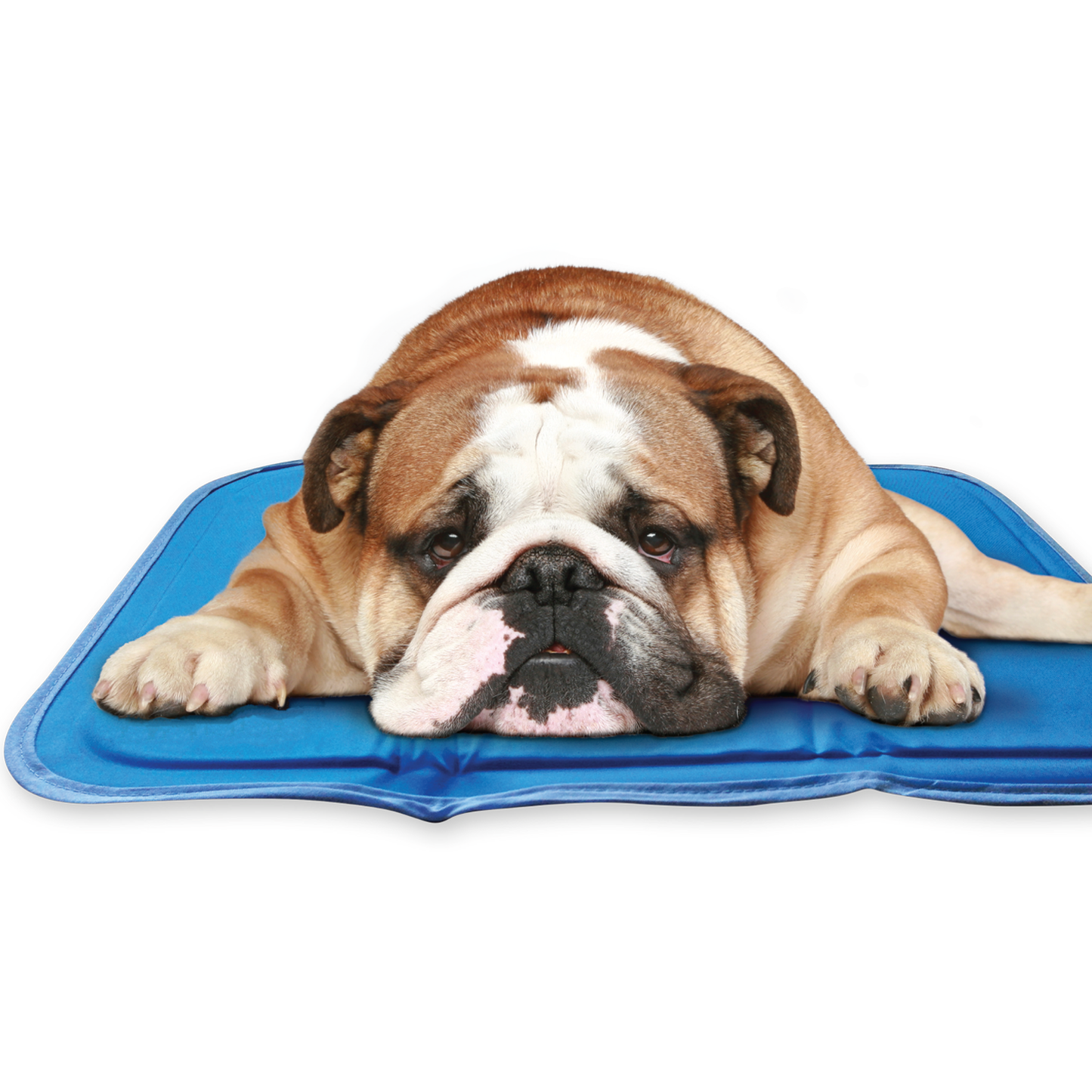 The Green Pet Shop - Cool Pet Pad
