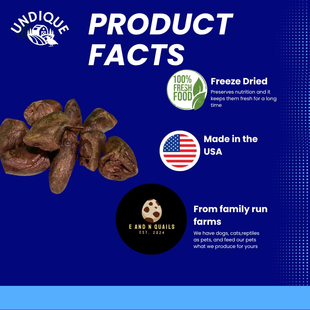 Freeze-Dried Duck Hearts, 3 oz, Single Ingredient Dog & Cat Treats, USA Made - Doot's Pet LLC Collars For A Cause