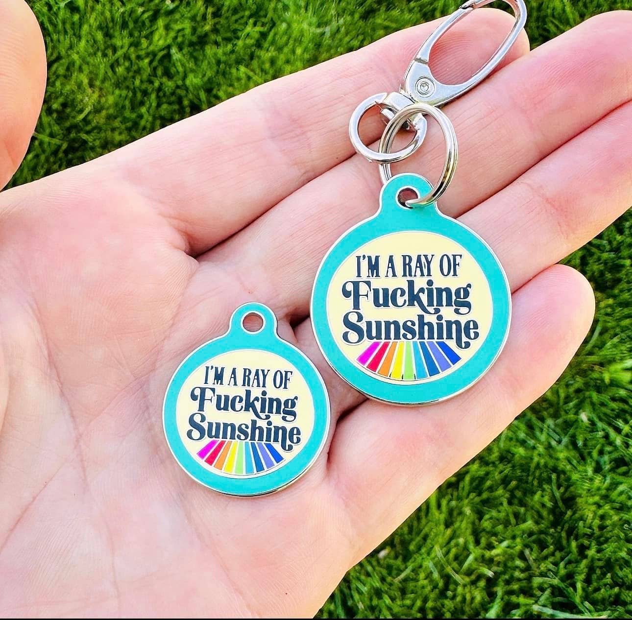 Bad Tags - Dog ID Tag with Personalized QR - Ray of Fucking Sunshine - Large / Teal / Engraved QR Code