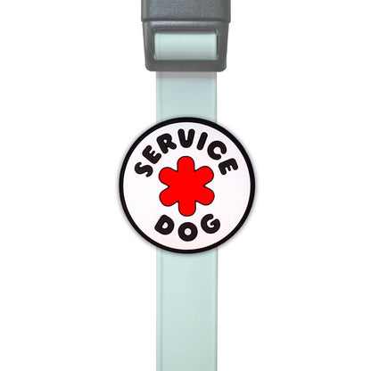 Jiby Dog Crew - Service Dog Jiby