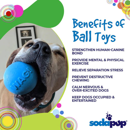SodaPup - Wag Ball Durable Synthetic Rubber Chew & Retrieving Toy